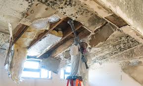 Best Mold Odor Removal Services  in Fosston, MN